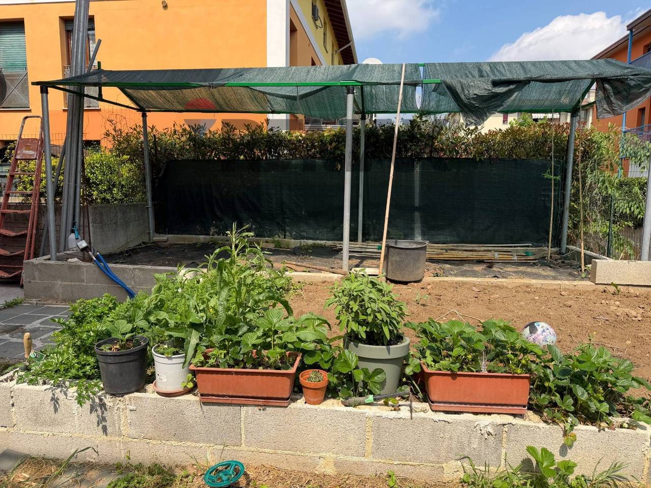 immagine annuncio 11 di 13