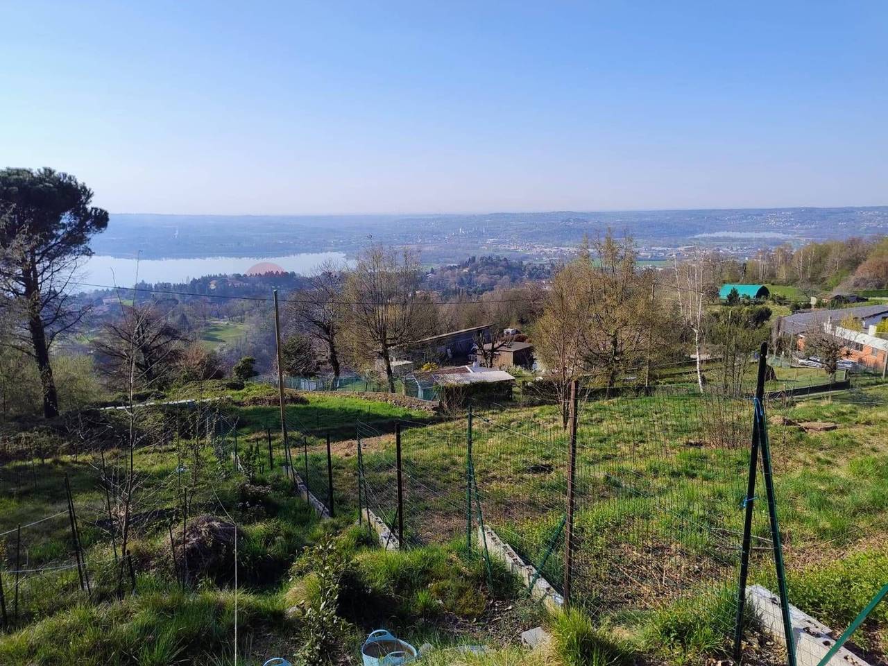 immagine annuncio 4 di 11