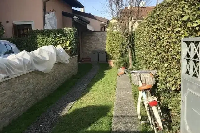 insertion image