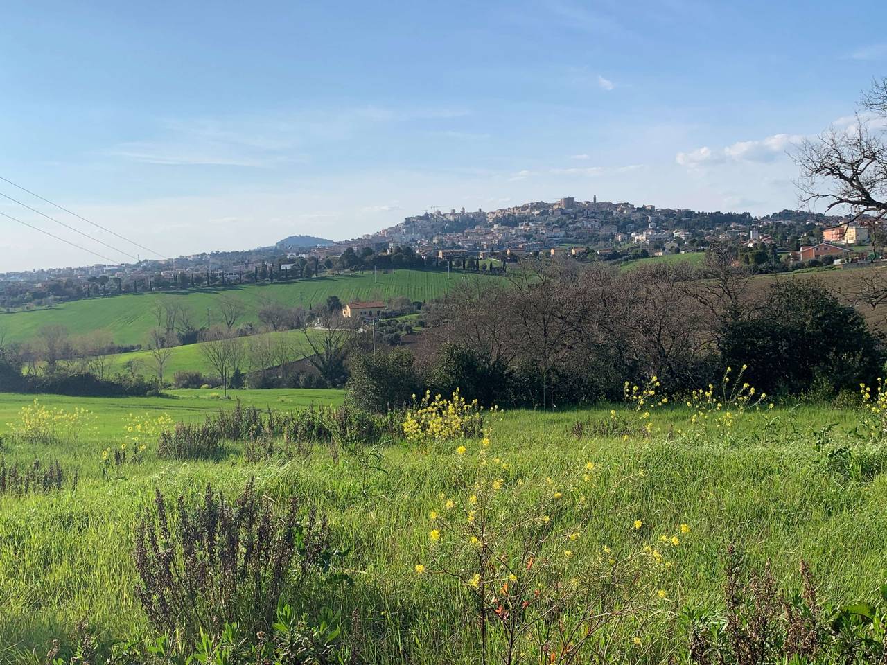 immagine annuncio 4 di 11