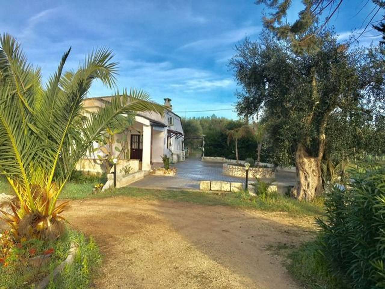 immagine annuncio 2 di 12