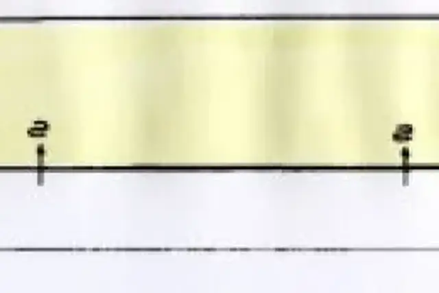 insertion image
