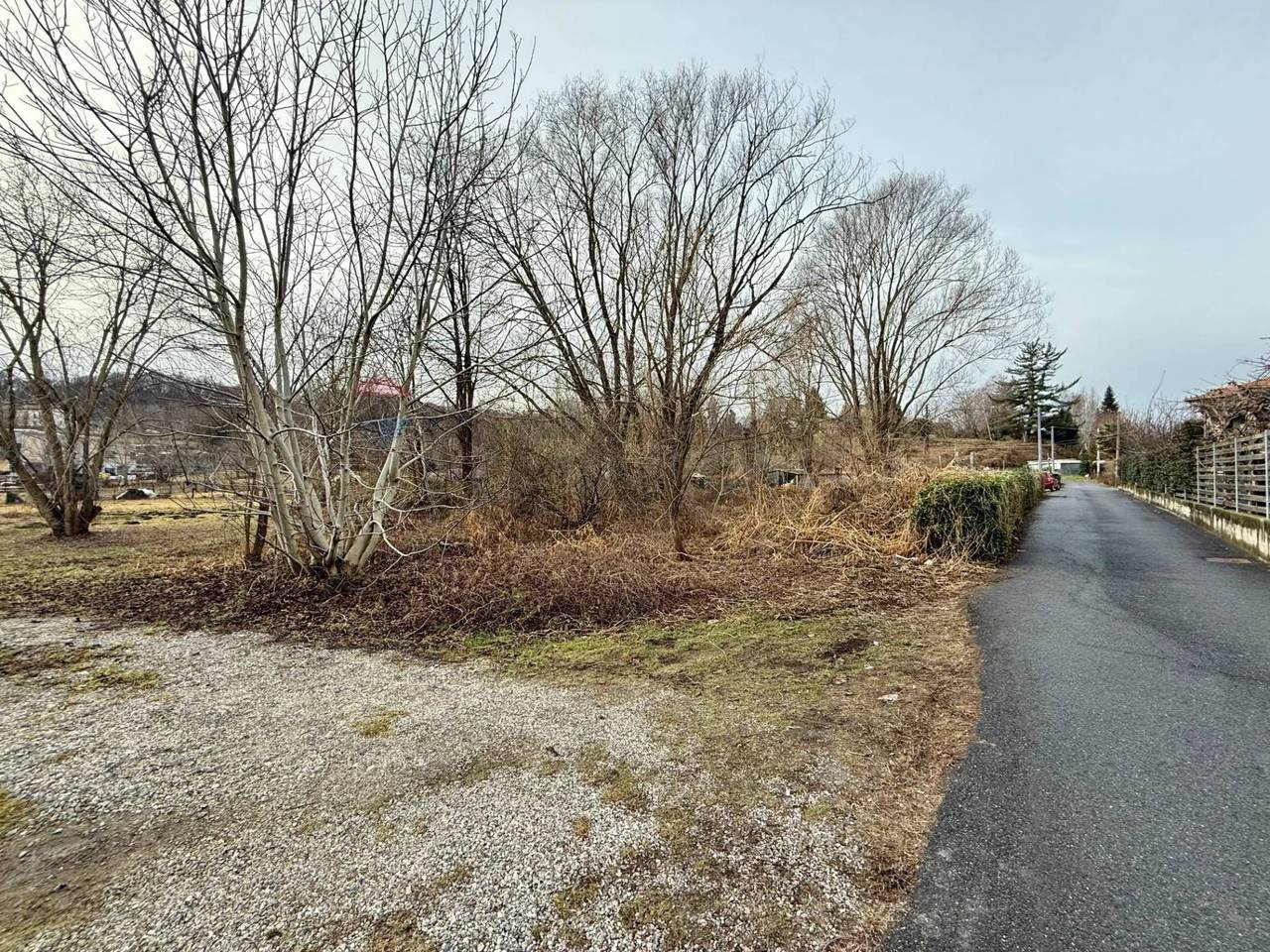 immagine annuncio 4 di 6