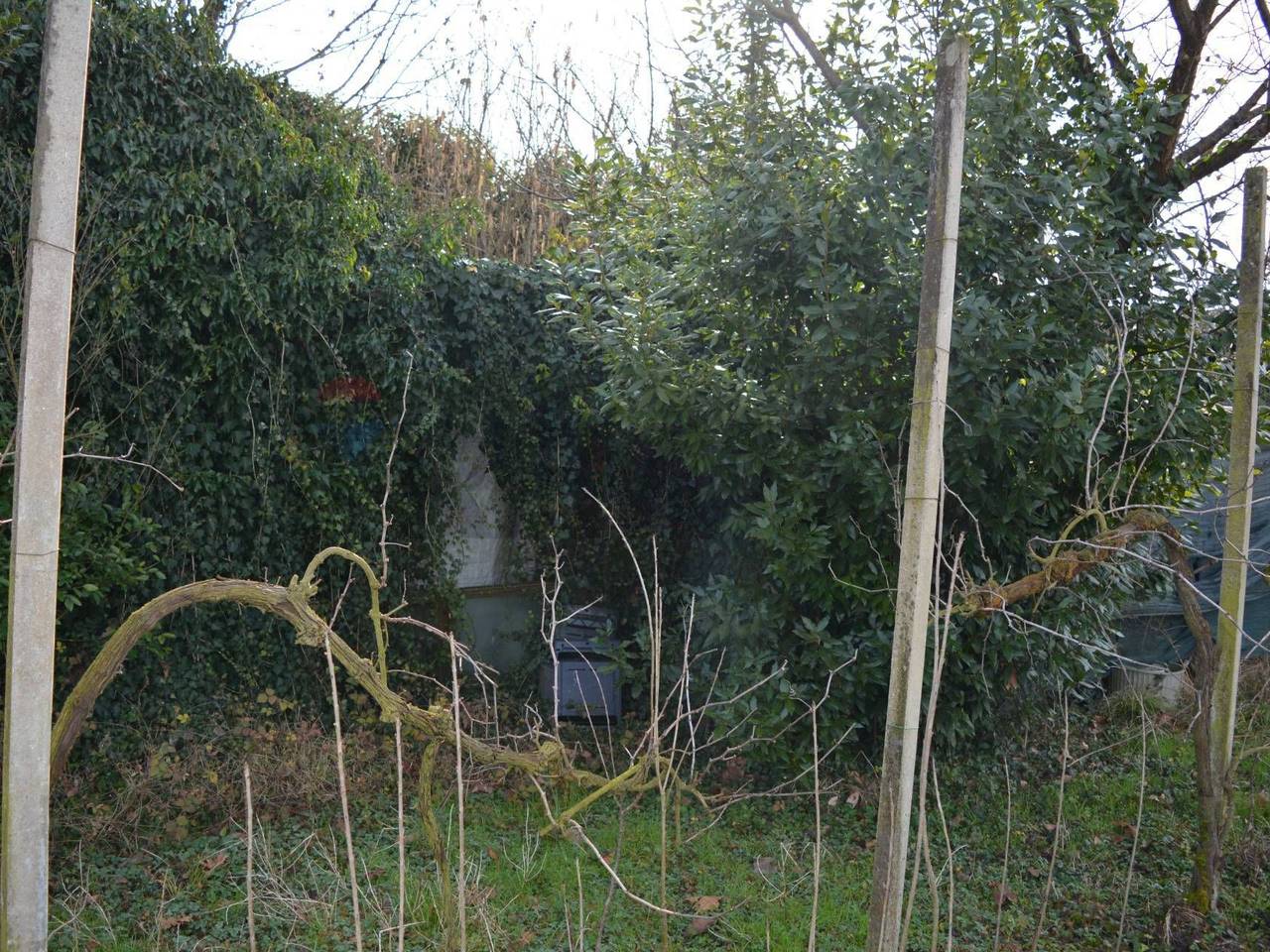 immagine annuncio 8 di 14