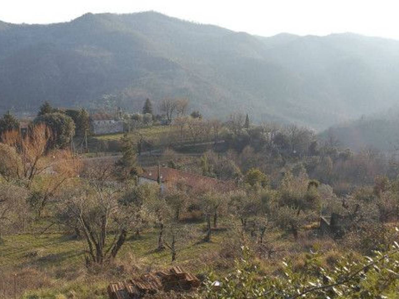 immagine annuncio 12 di 14