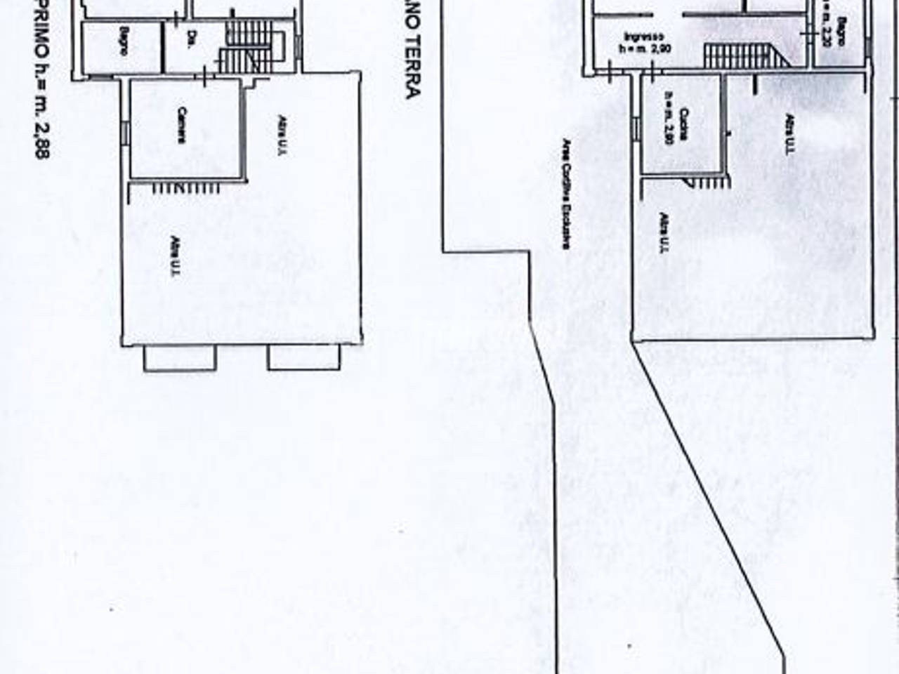 immagine annuncio 12 di 14