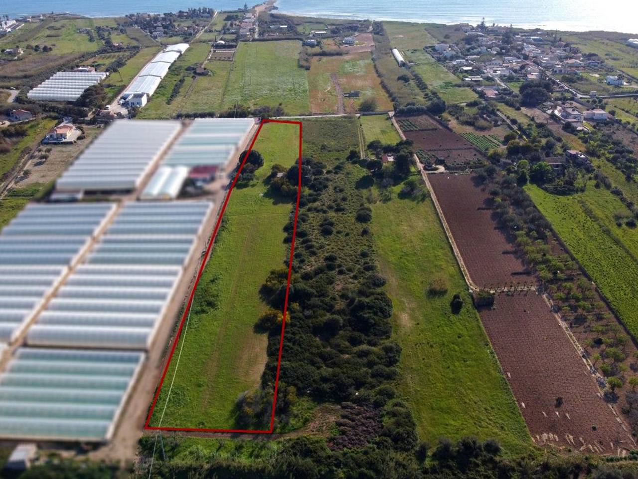 immagine annuncio 3 di 13