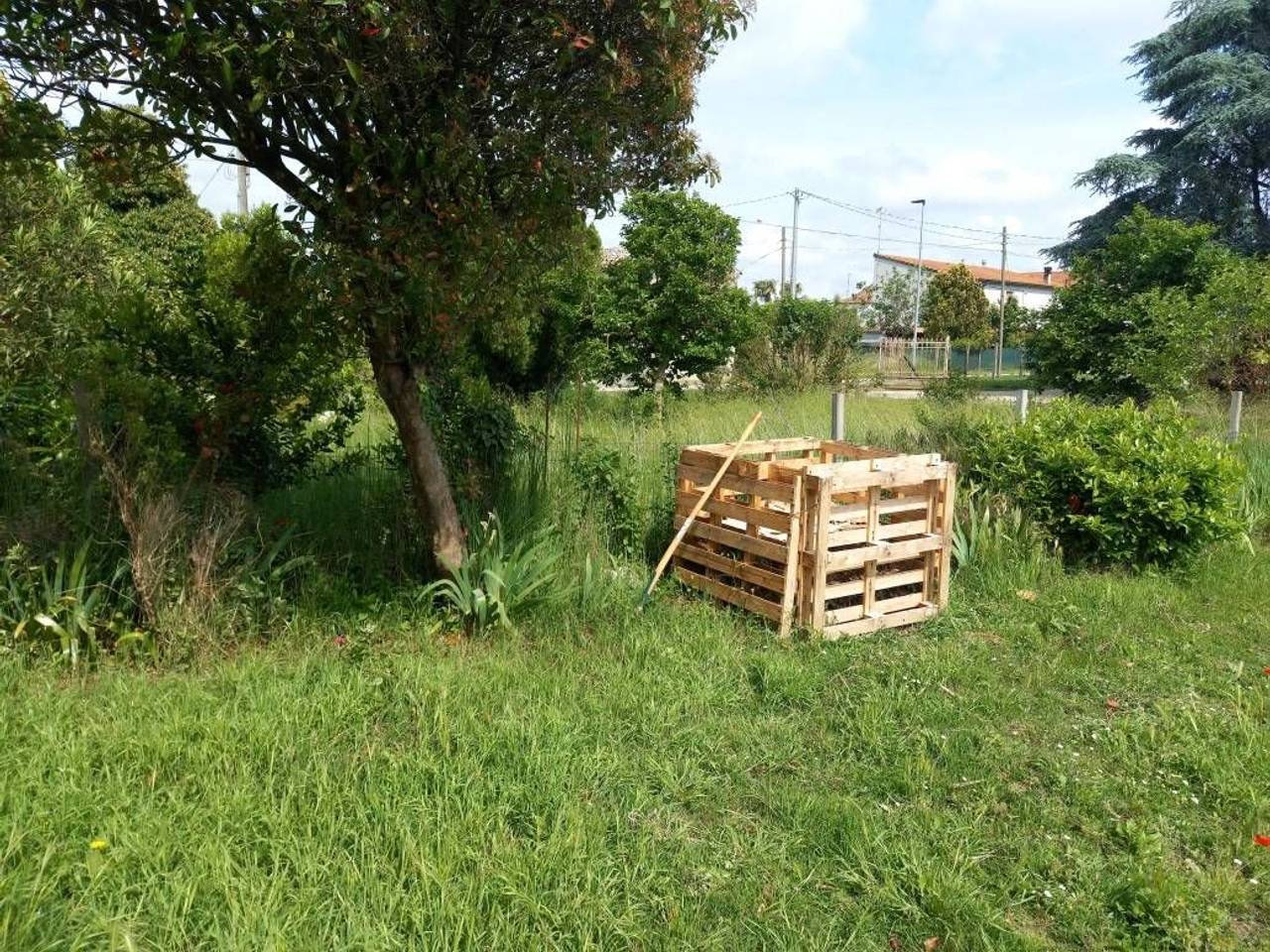 immagine annuncio 7 di 15