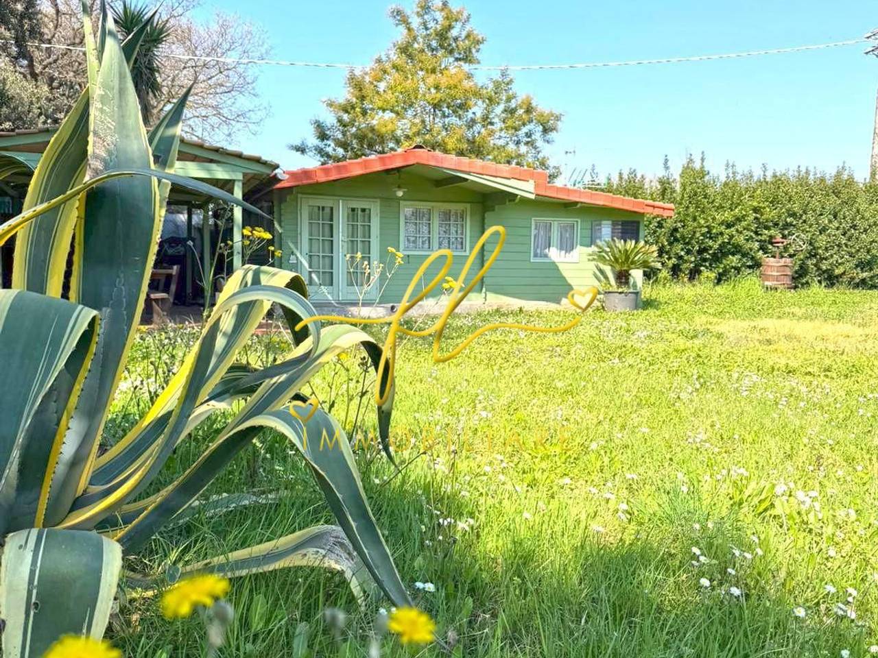 immagine annuncio 1 di 3