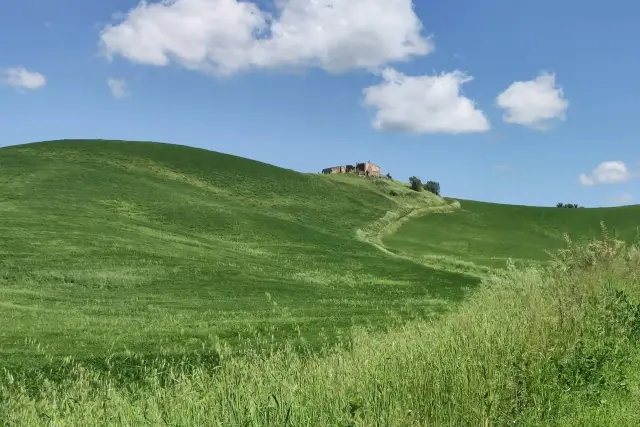 Rustico, Asciano - Foto 1