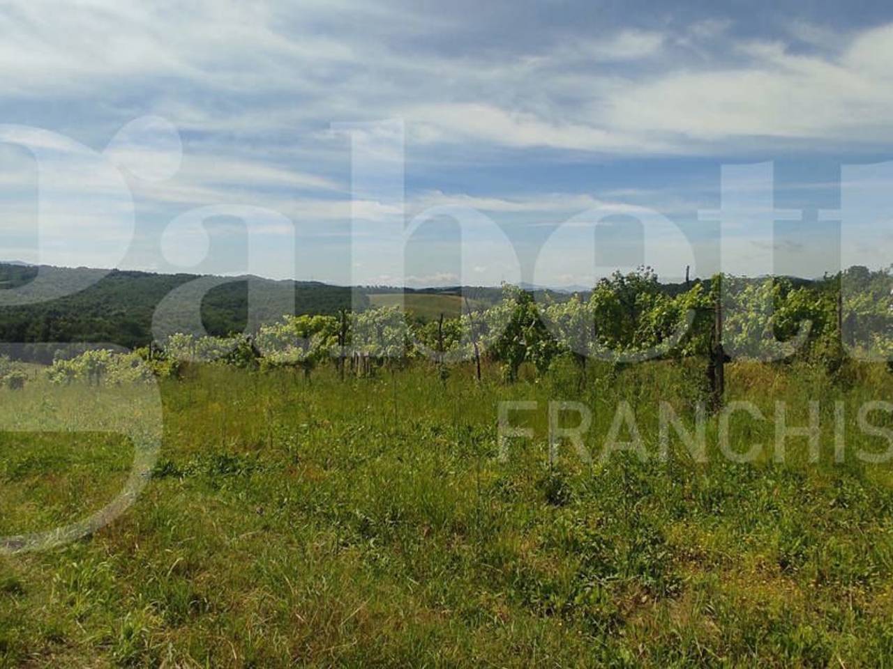 immagine annuncio 2 di 6