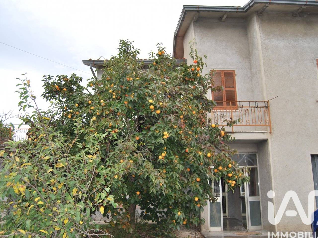 immagine annuncio 12 di 14