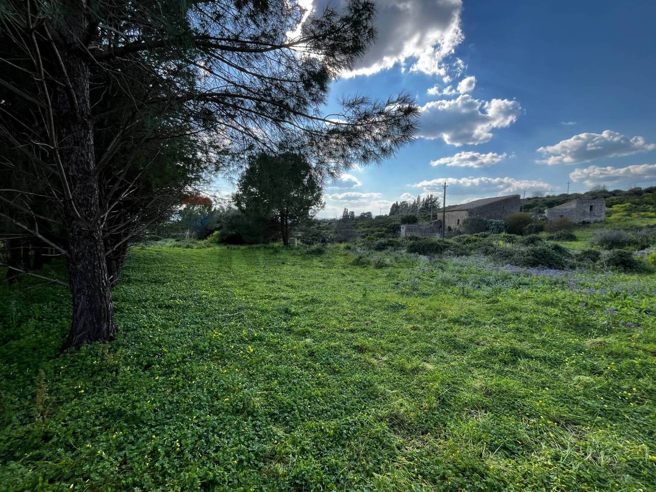 immagine annuncio 6 di 8