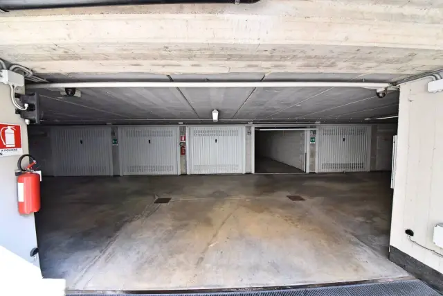 insertion image