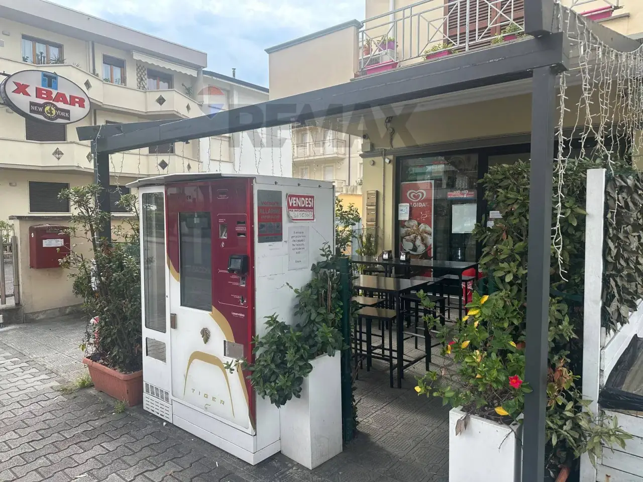 Esercizio commerciale in Viale C. Colombo 404, Camaiore, {3} - Foto 1