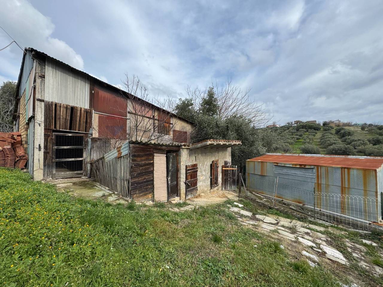 immagine annuncio 7 di 15