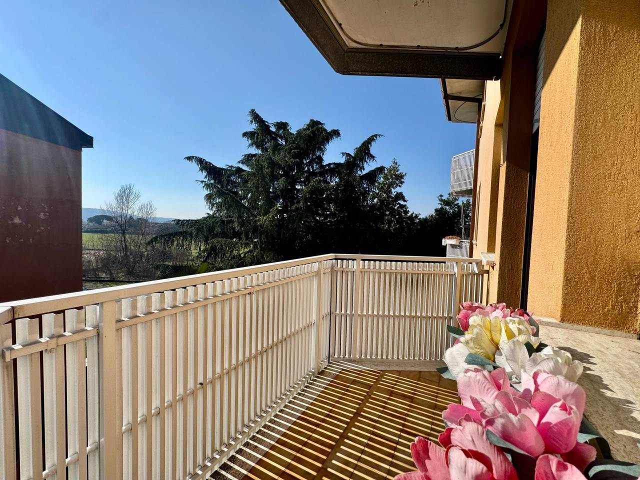 immagine annuncio 9 di 14