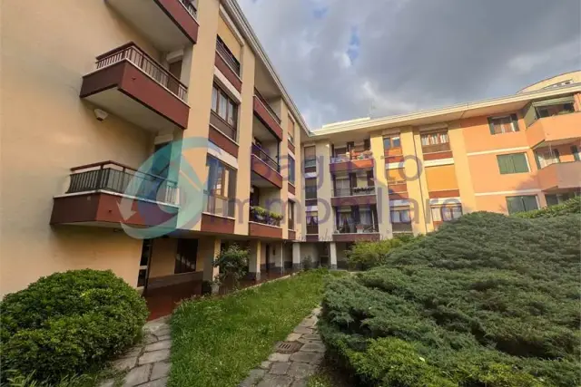 insertion image
