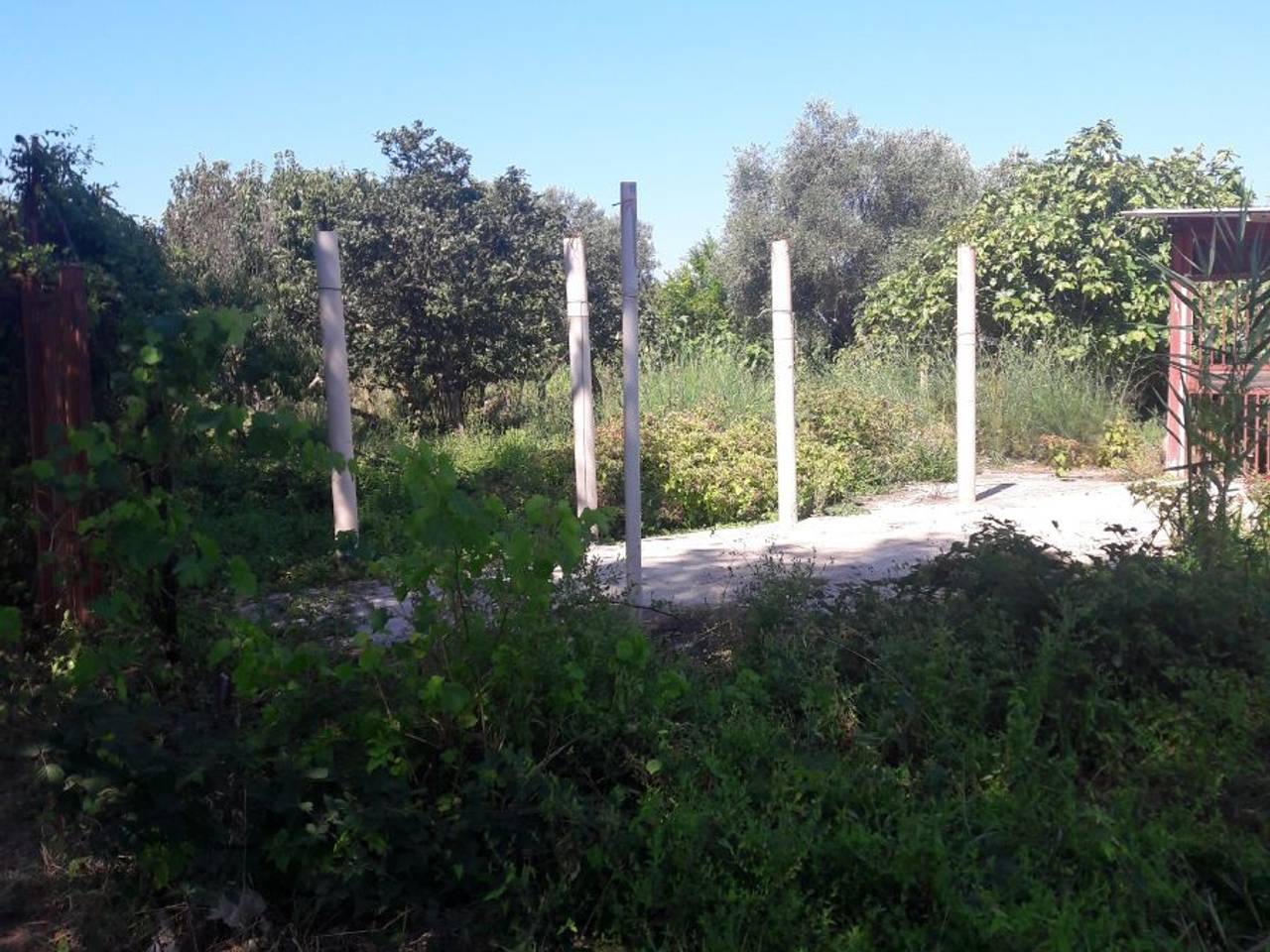 immagine annuncio 1 di 7