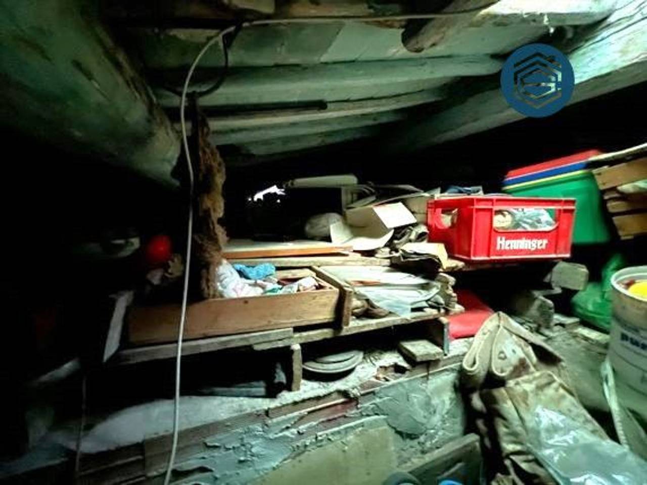 immagine annuncio 11 di 14