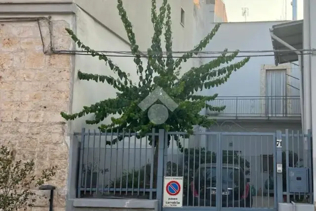 insertion image