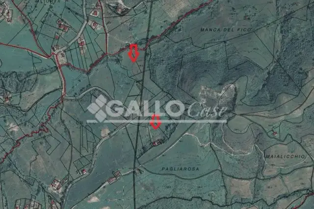 insertion image