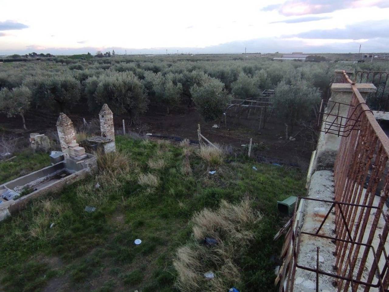 immagine annuncio 9 di 12