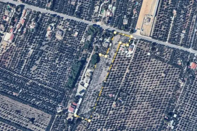 insertion image