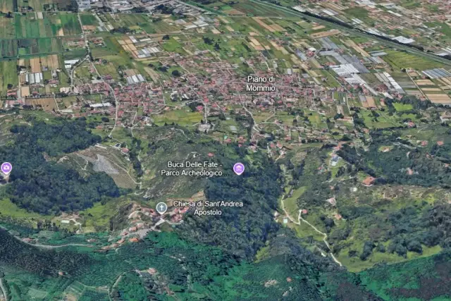 insertion image