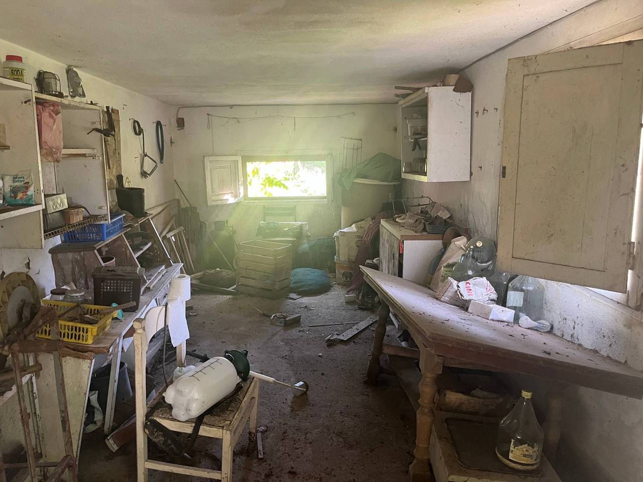 immagine annuncio 2 di 6