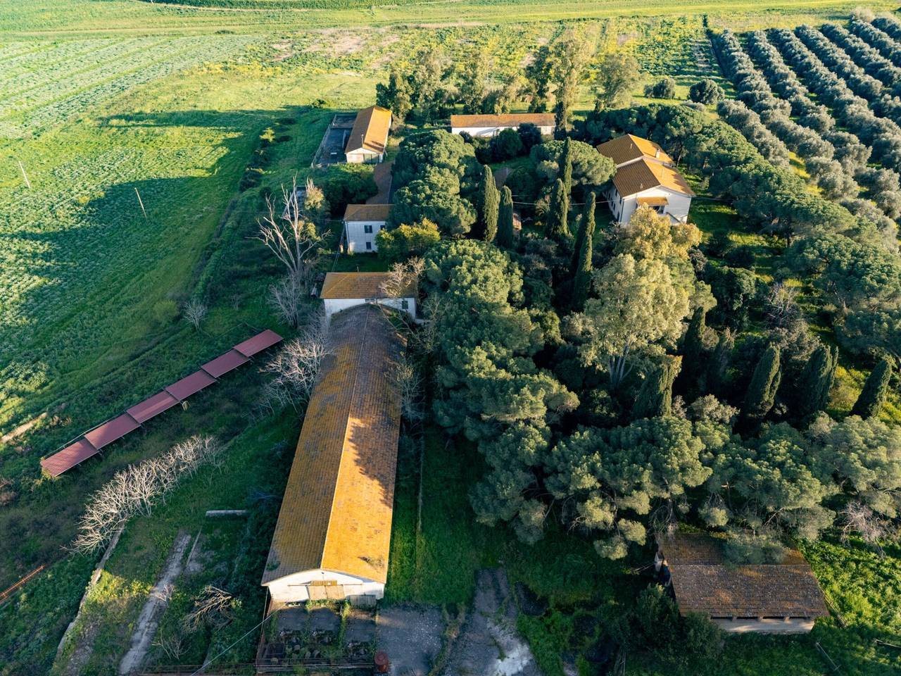 immagine annuncio 5 di 13