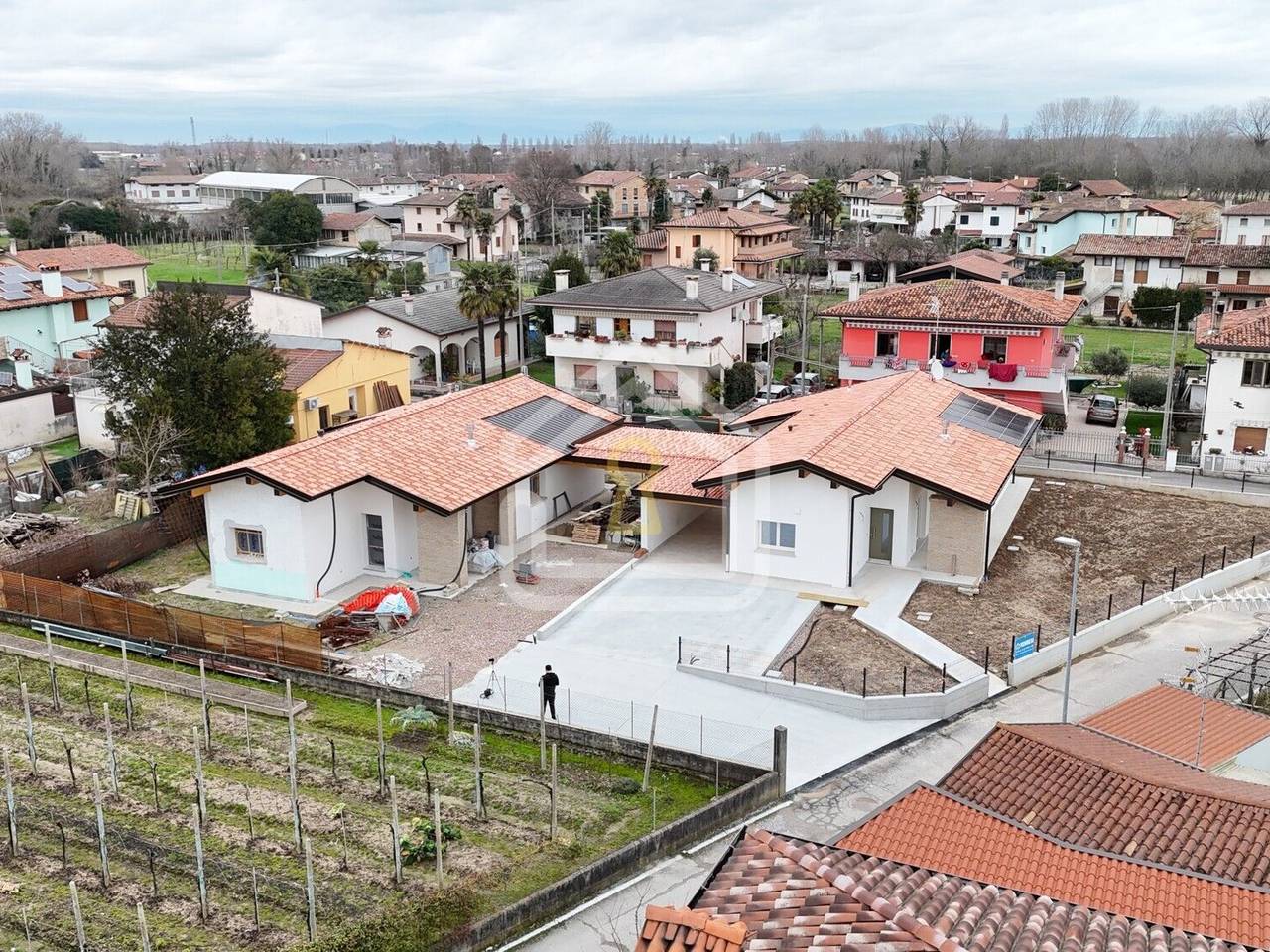 immagine annuncio 2 di 12