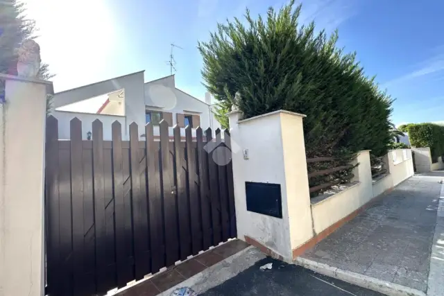insertion image
