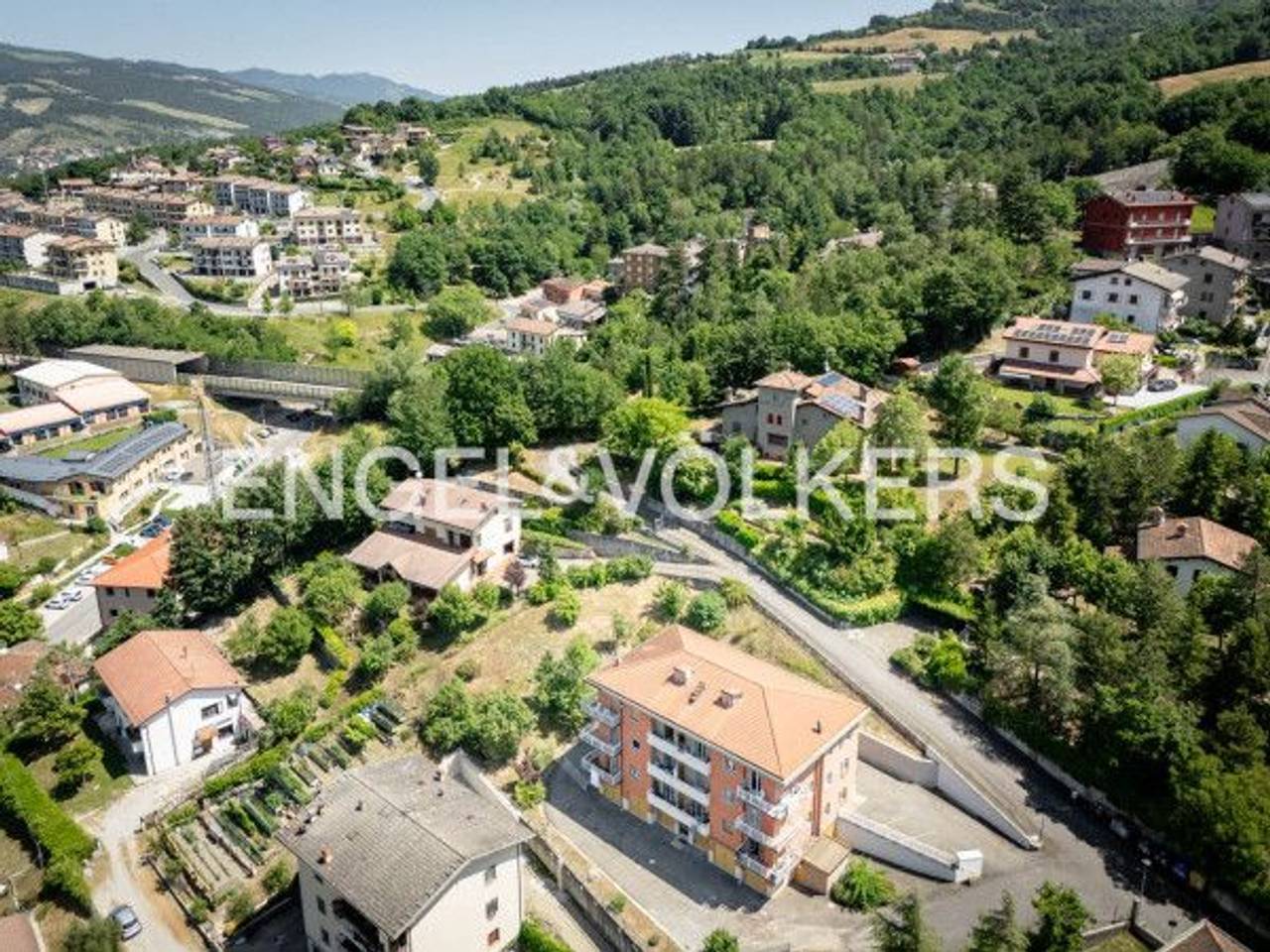 immagine annuncio 12 di 14