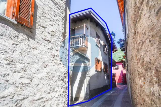 insertion image