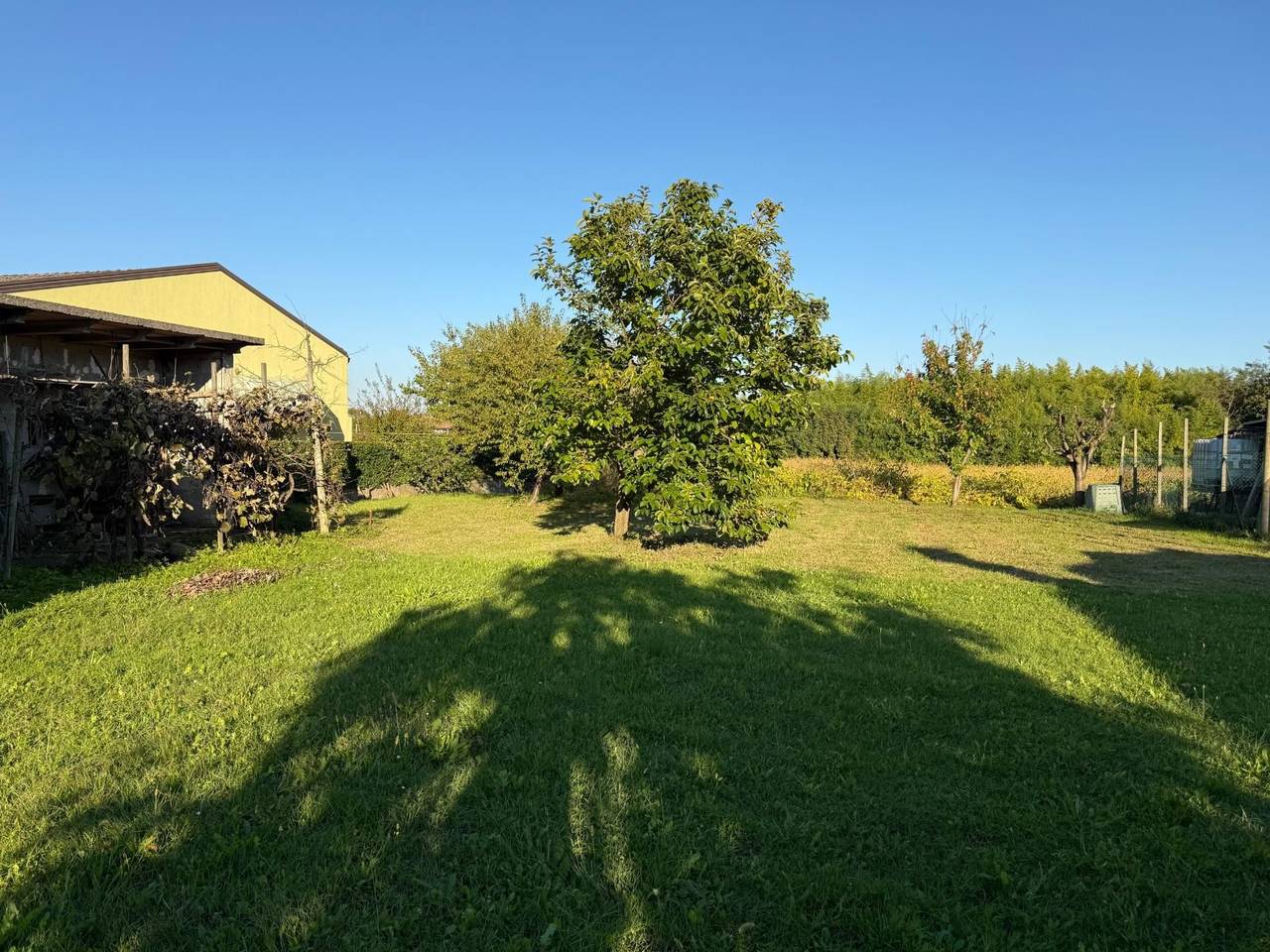 immagine annuncio 5 di 9