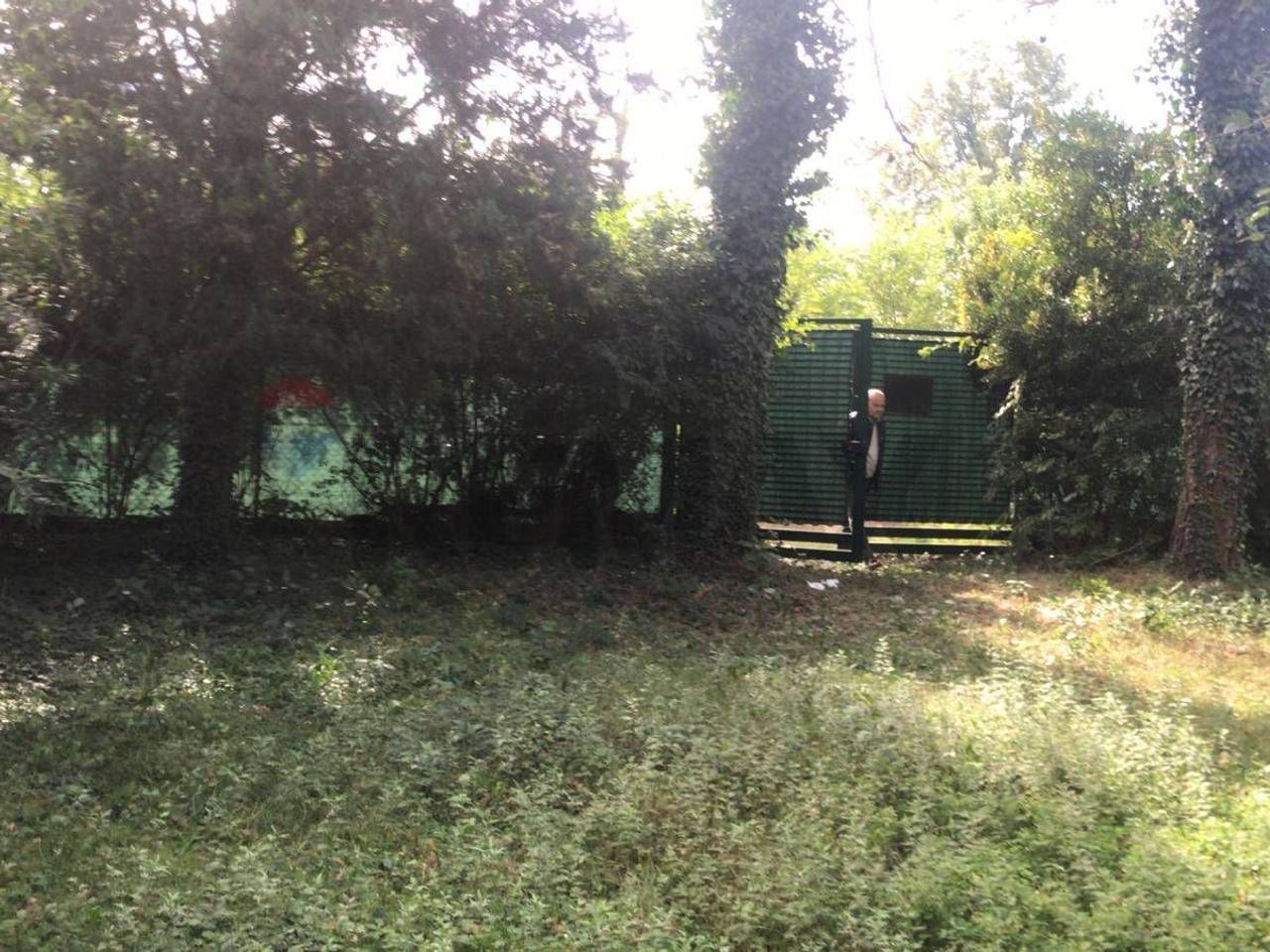 immagine annuncio 2 di 13