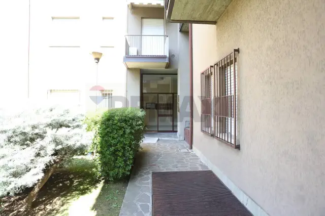 insertion image