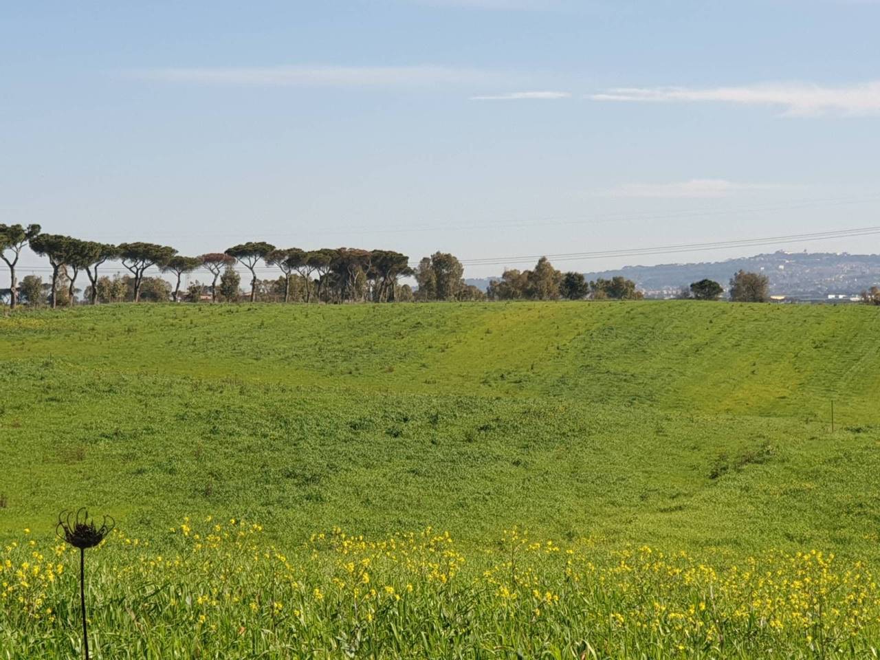 immagine annuncio 9 di 13