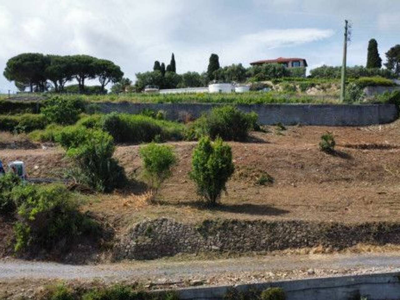 immagine annuncio 3 di 9