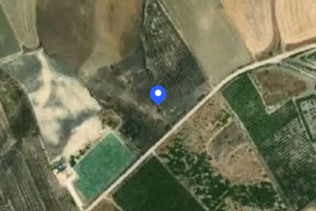 insertion image