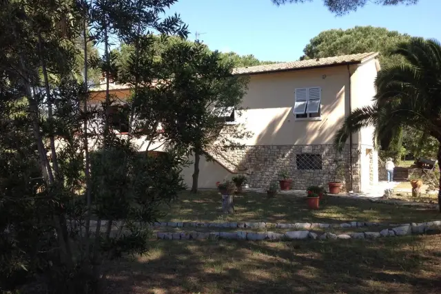 Villa, Capoliveri - Foto 1