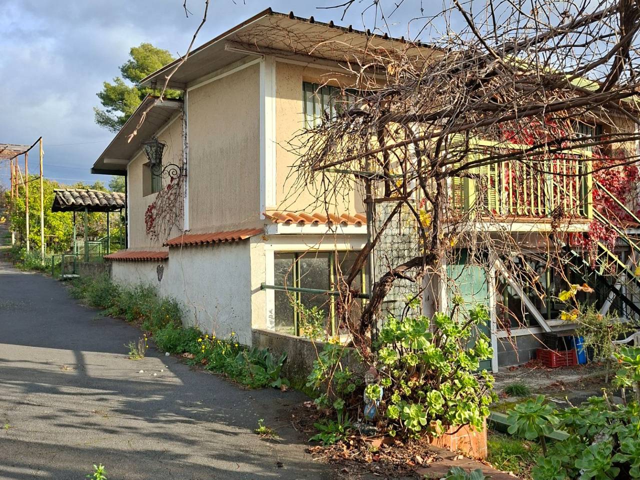 immagine annuncio 3 di 11