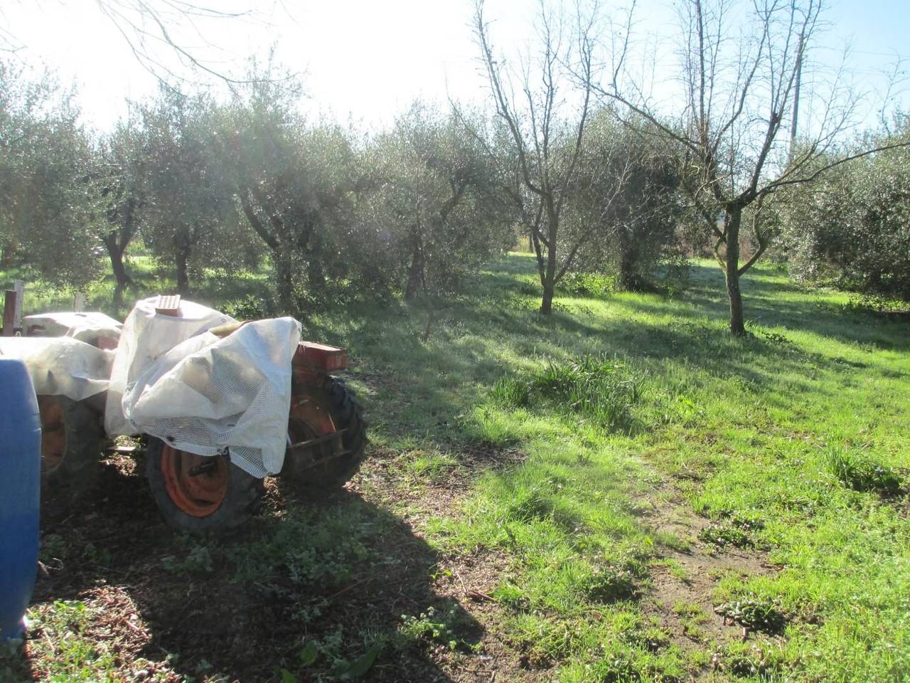 immagine annuncio 5 di 7