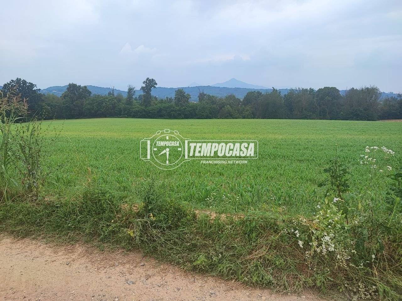 immagine annuncio 3 di 6