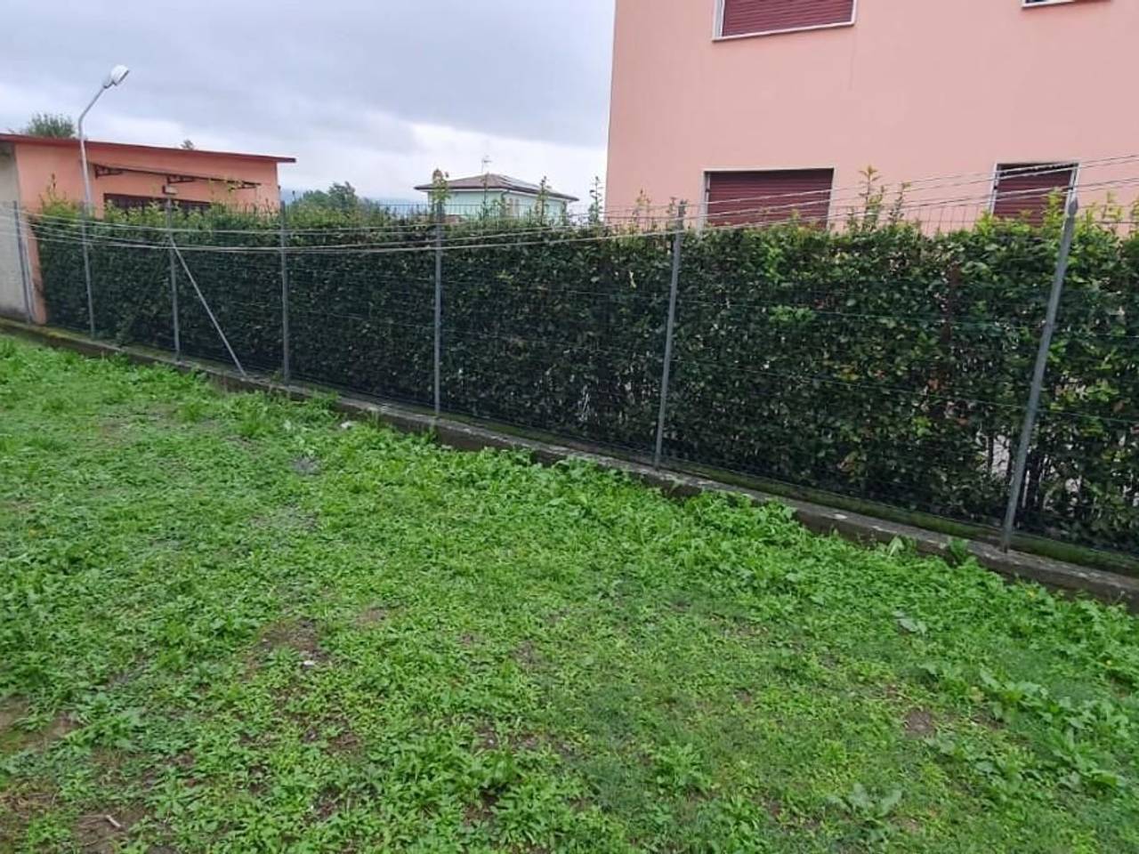 immagine annuncio 2 di 4