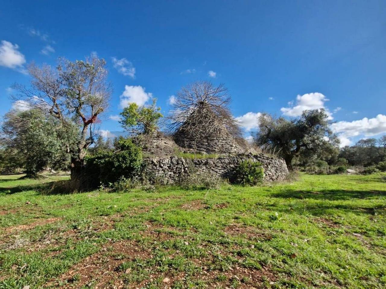 immagine annuncio 1 di 10