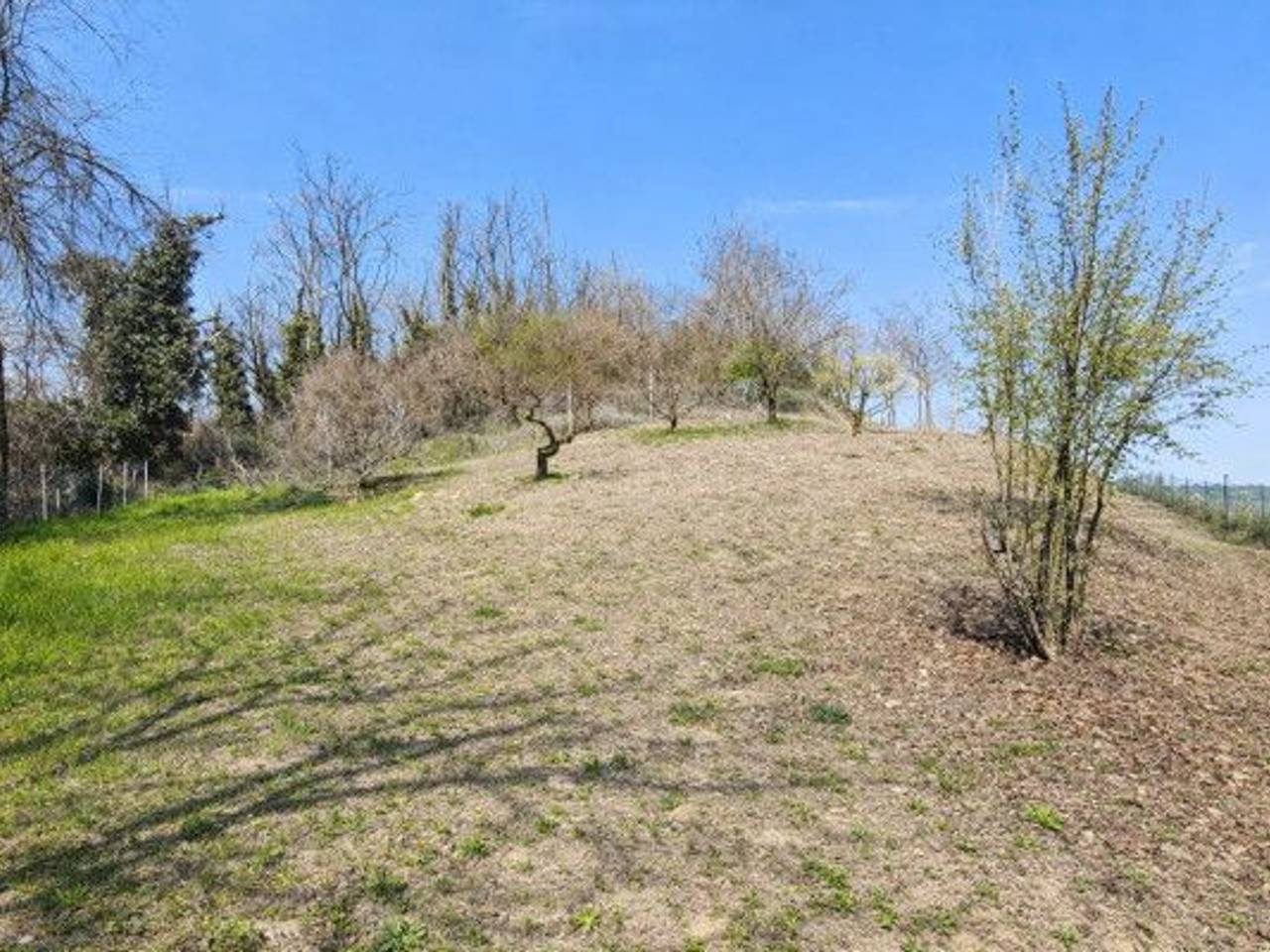 immagine annuncio 3 di 6