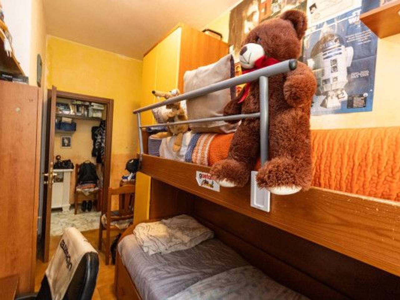 immagine annuncio 9 di 15