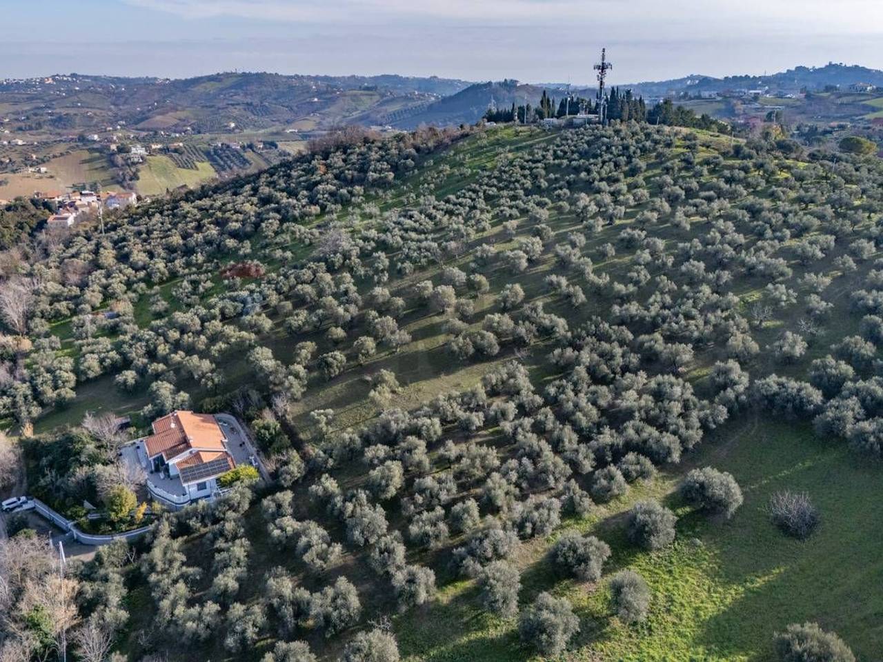 immagine annuncio 7 di 8